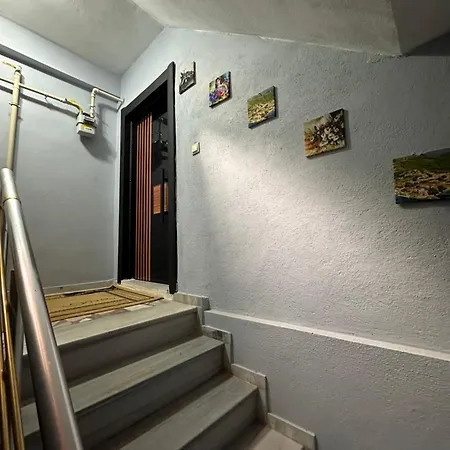 Apartment Altay Airport *